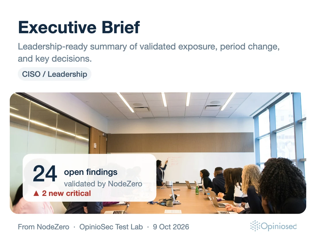 Executive Brief